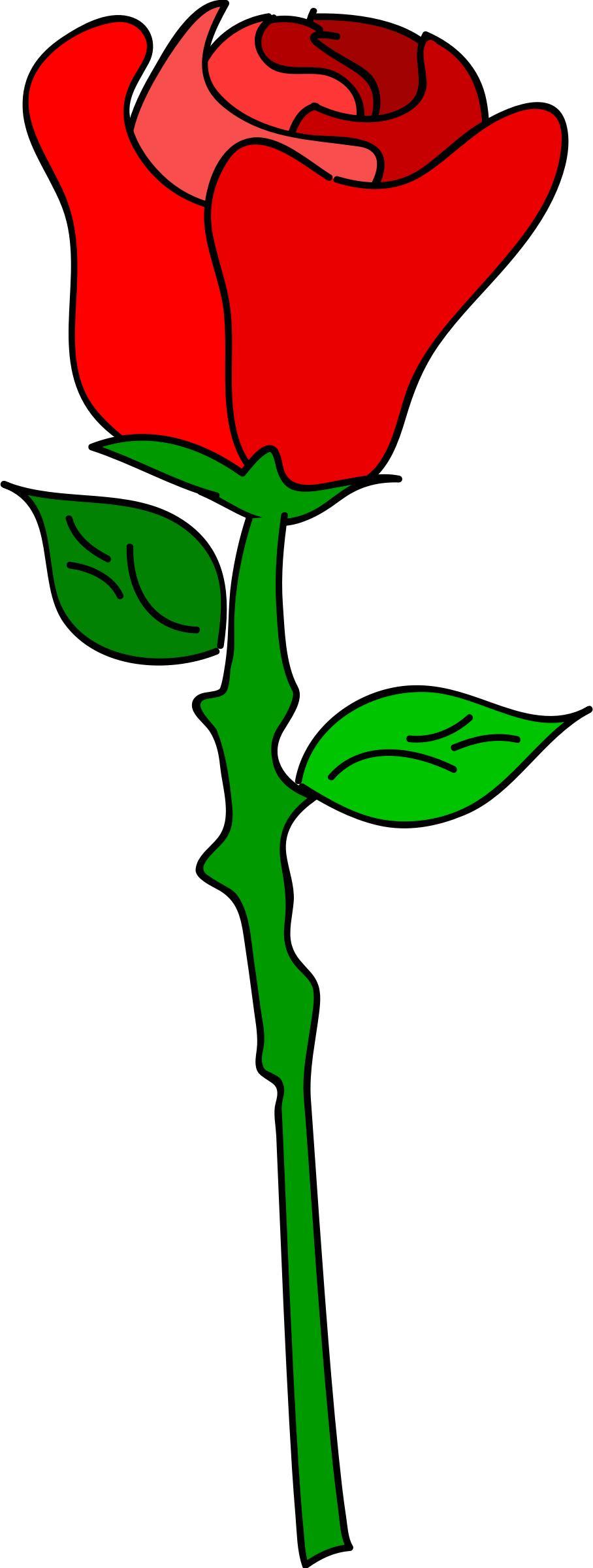 Freehand ROSE png transparent