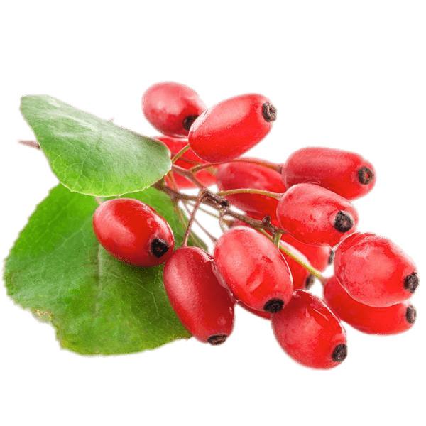 Fresh Goji Berries png transparent