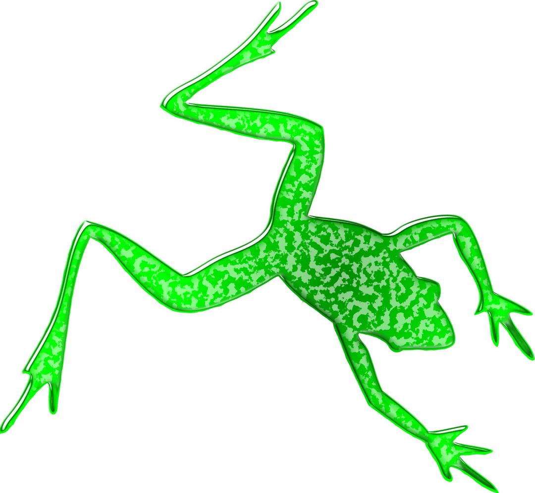 Frog 4 png transparent