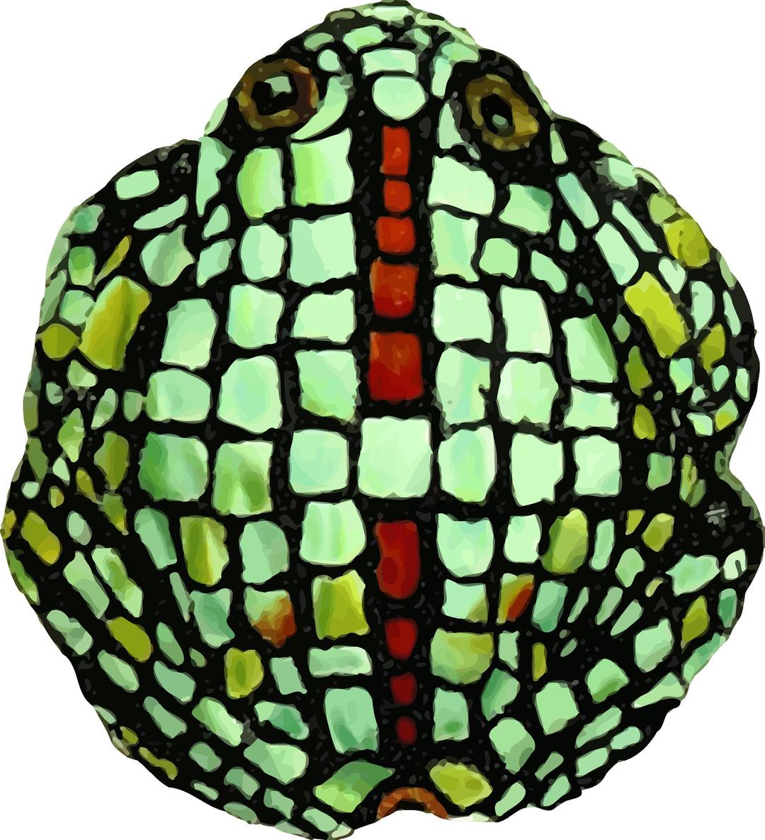 Frog 6 png transparent