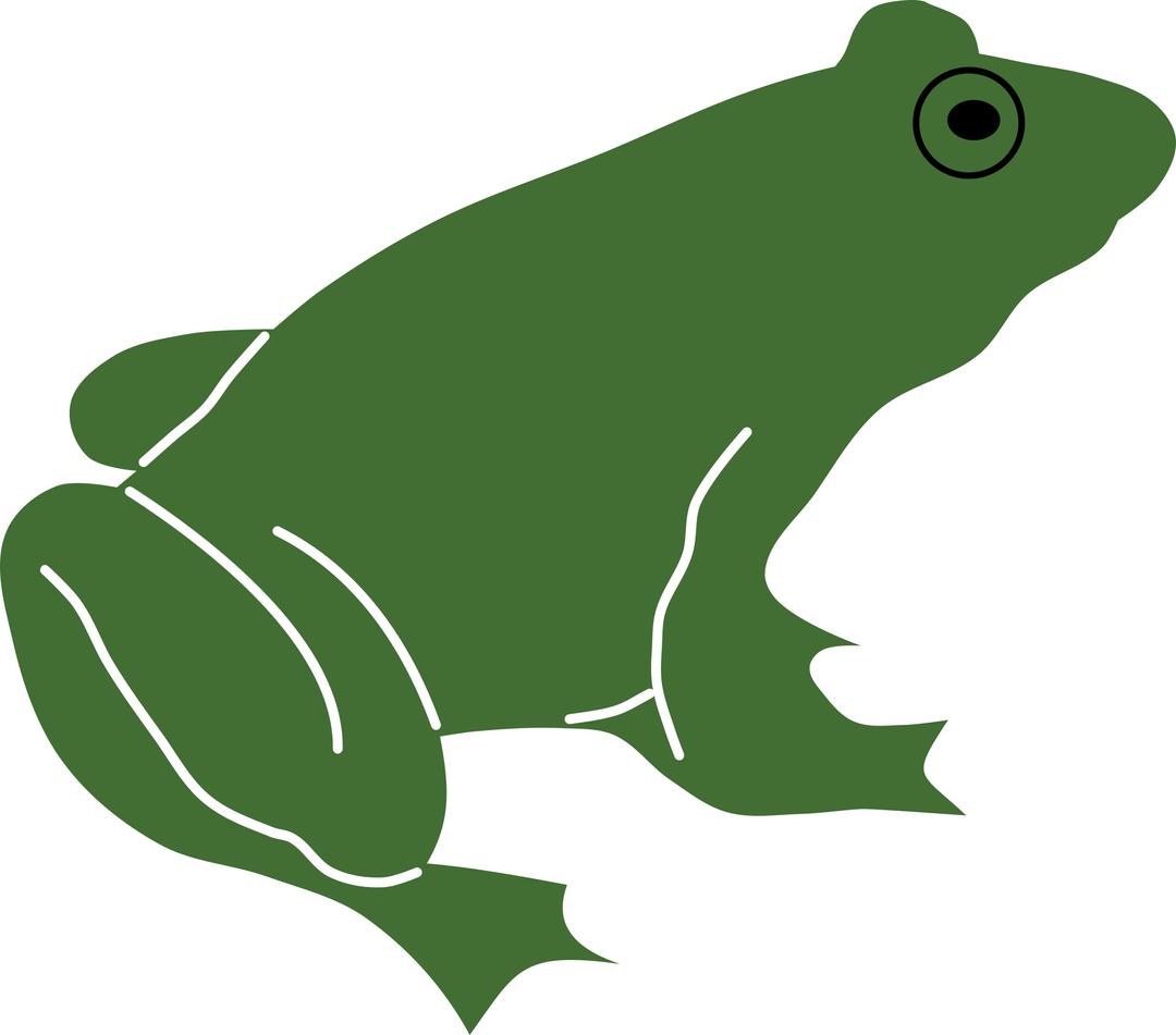 Frog by Rones png transparent