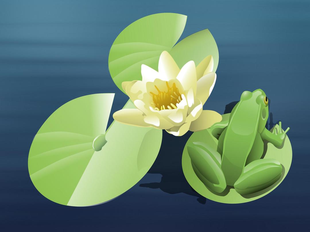 frog on a lily pad (animated) png transparent