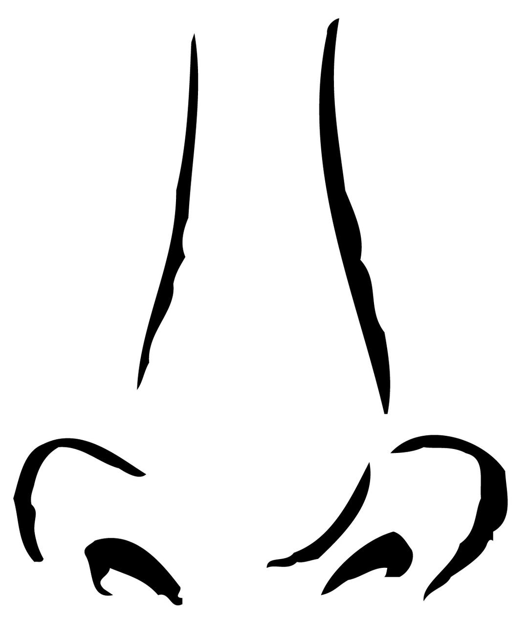 Front Nose Drawing png transparent