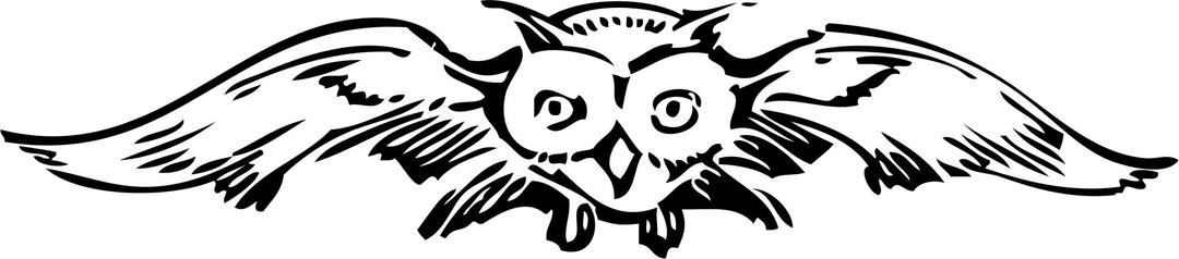 front view owl png transparent