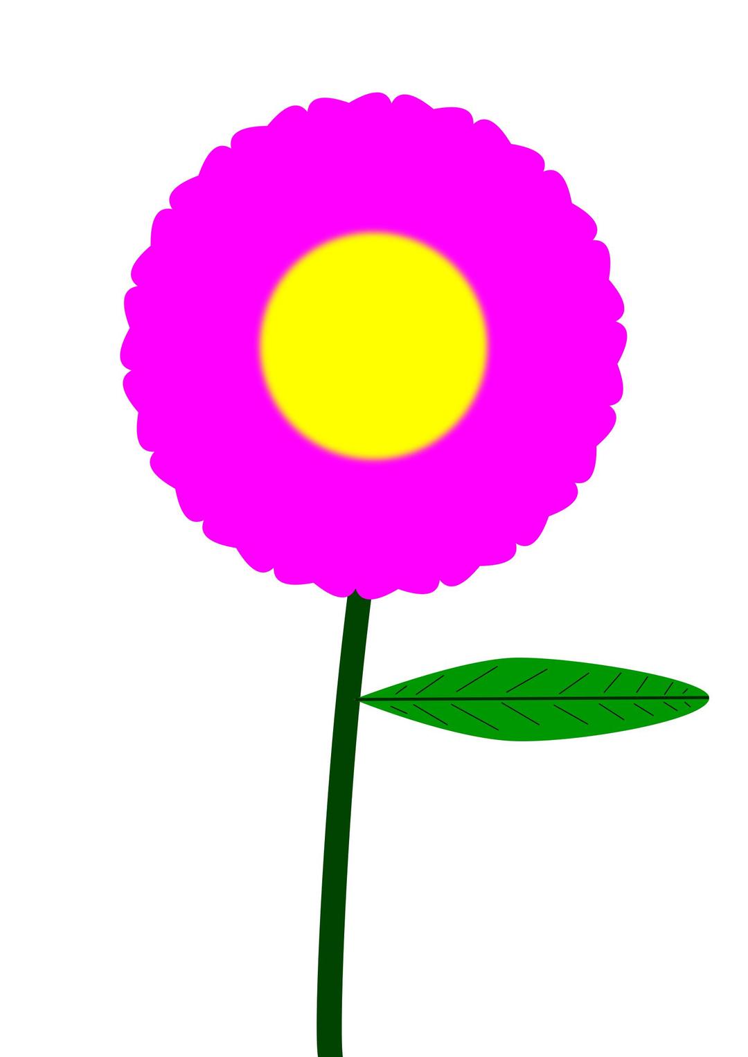 Fucsia flower png transparent