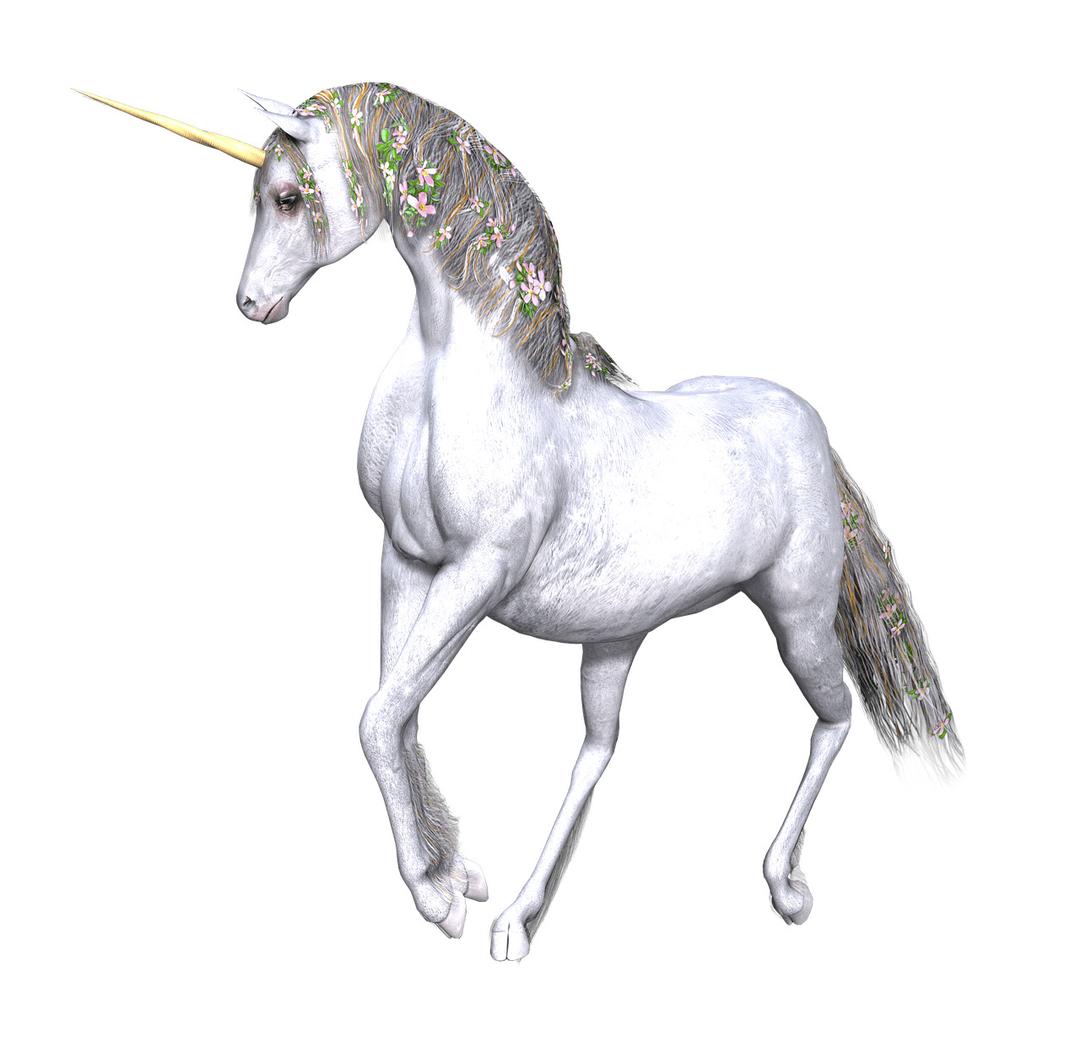 Full White Unicorn Flowers In Manes png transparent