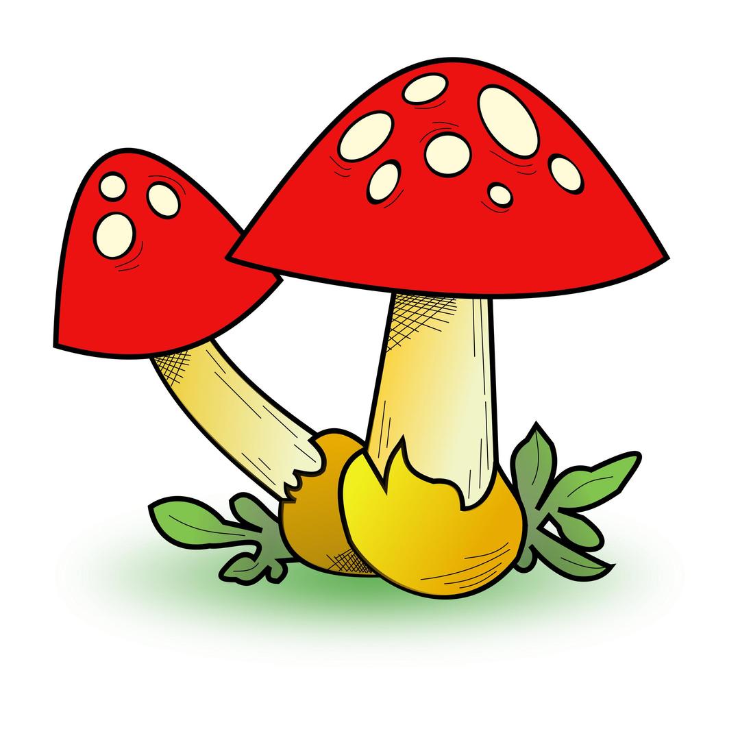 Fungal Forest png transparent