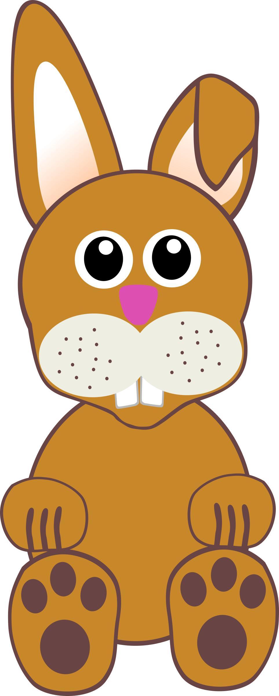 Funny baby bunny sitting png transparent