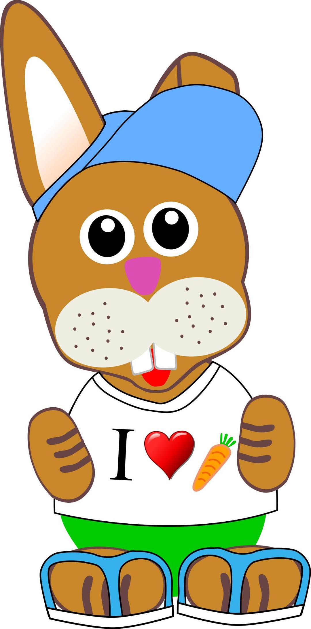 Funny bunny with summer fashion wear png transparent