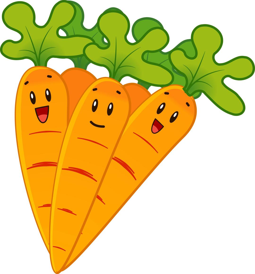 Funny carrots png transparent