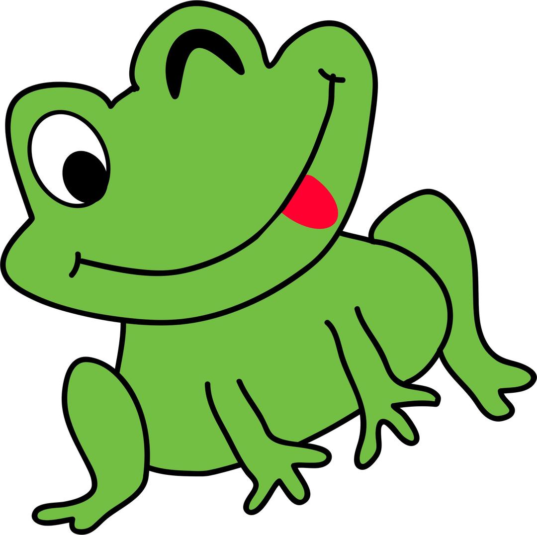 funny frog png transparent