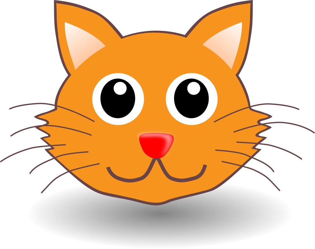funny kitty face png transparent