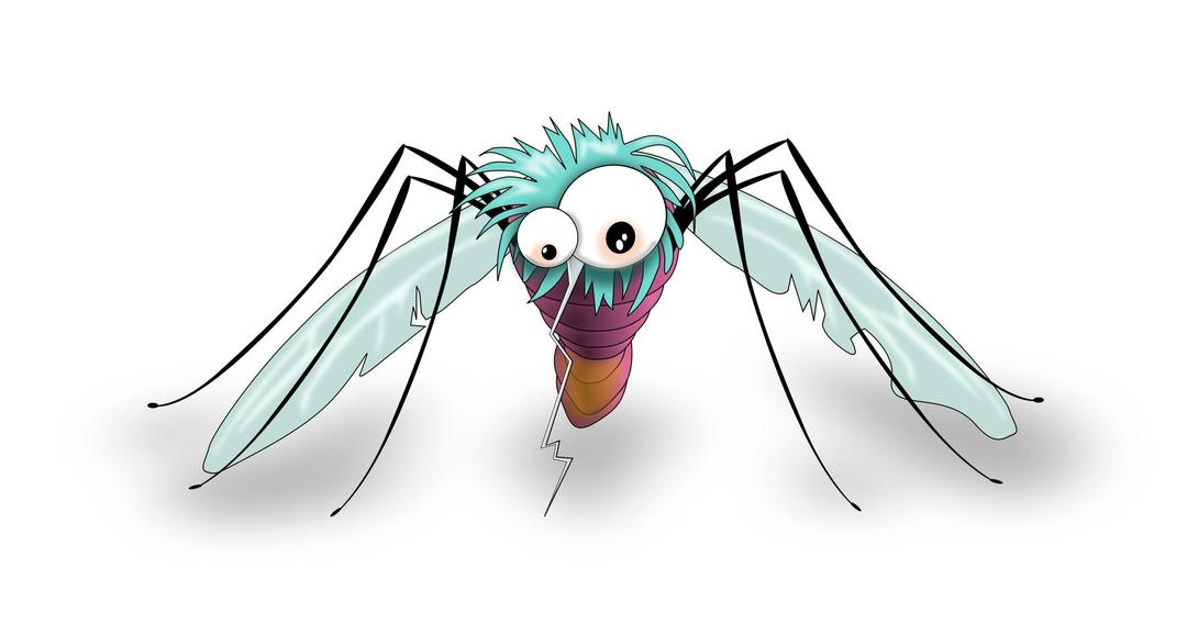 Funny Mosquito png transparent