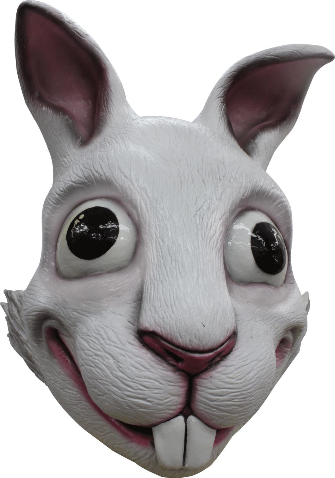 Funny Rabbit Mask png transparent