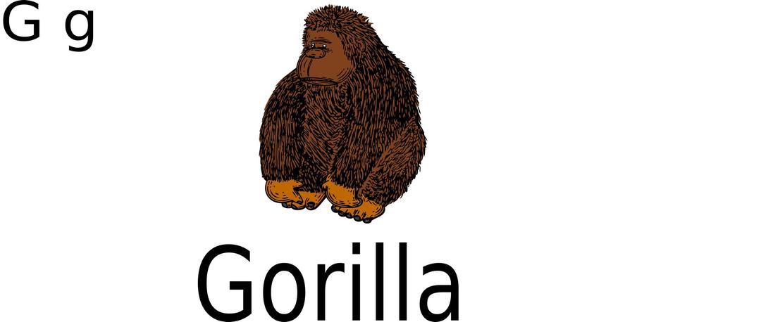 G for Gorilla png transparent