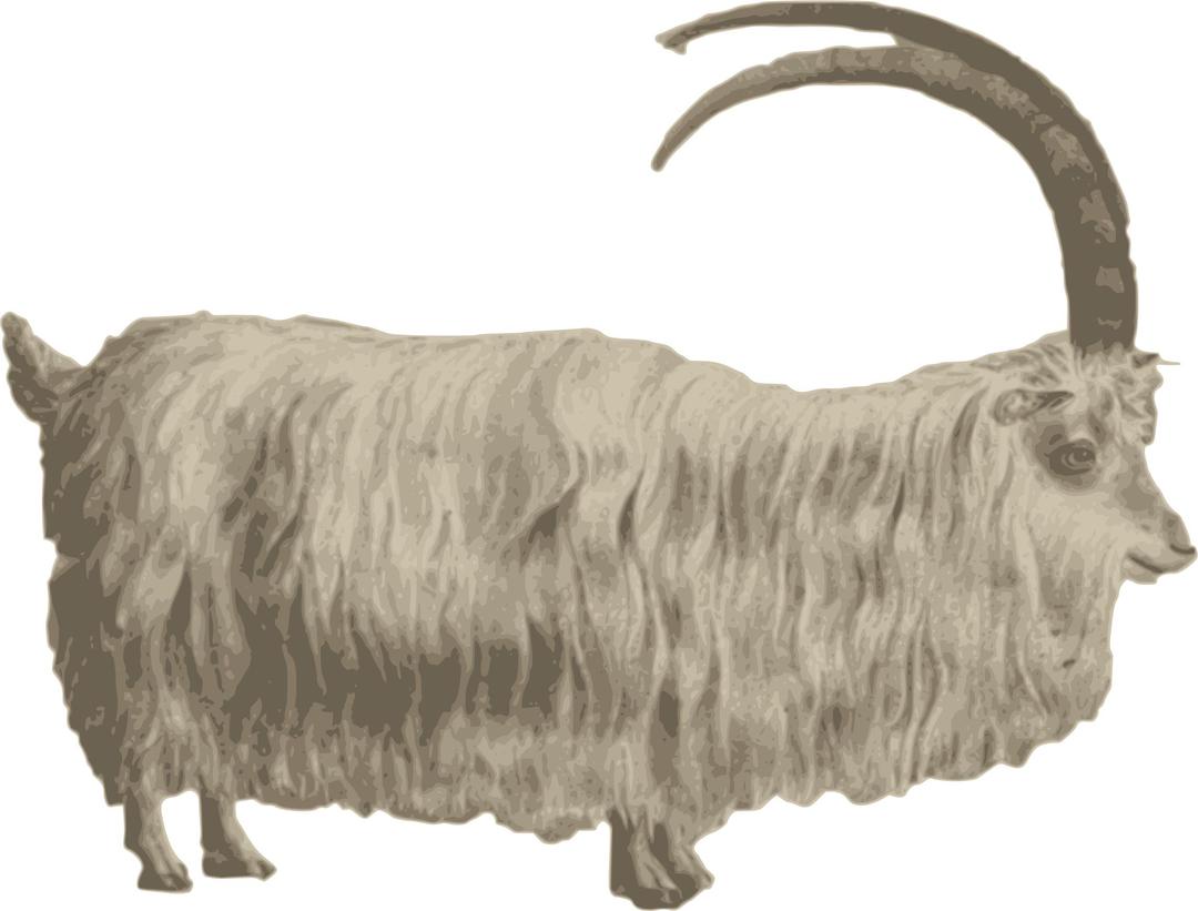 Gafr mynydd | Mountain goat png transparent