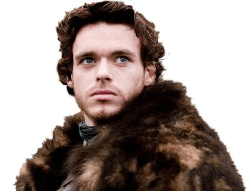 Game Of Thrones Robb Stark png transparent