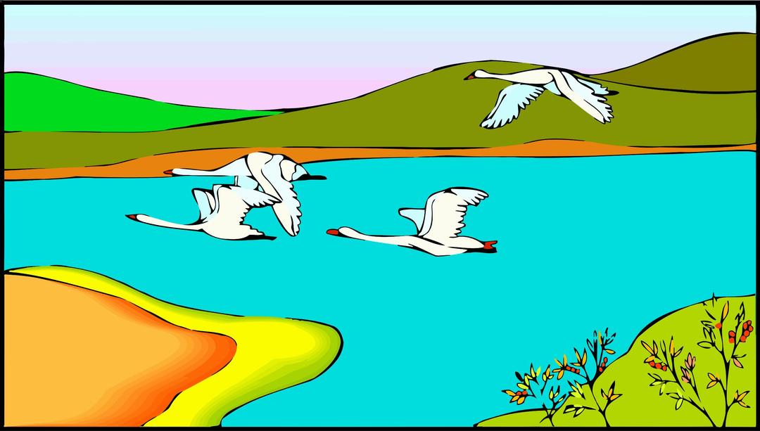 Geese 3 png transparent