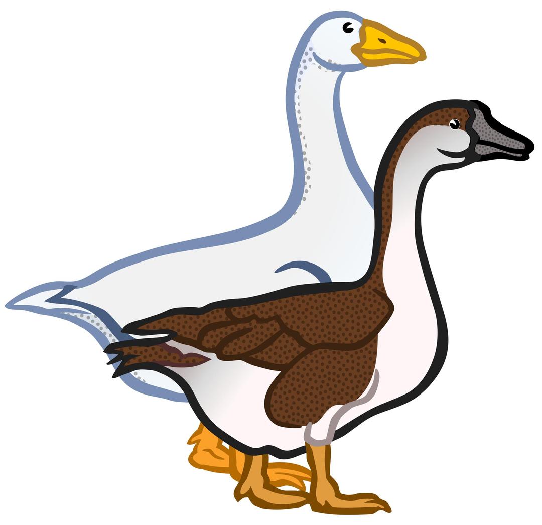 geese - coloured png transparent