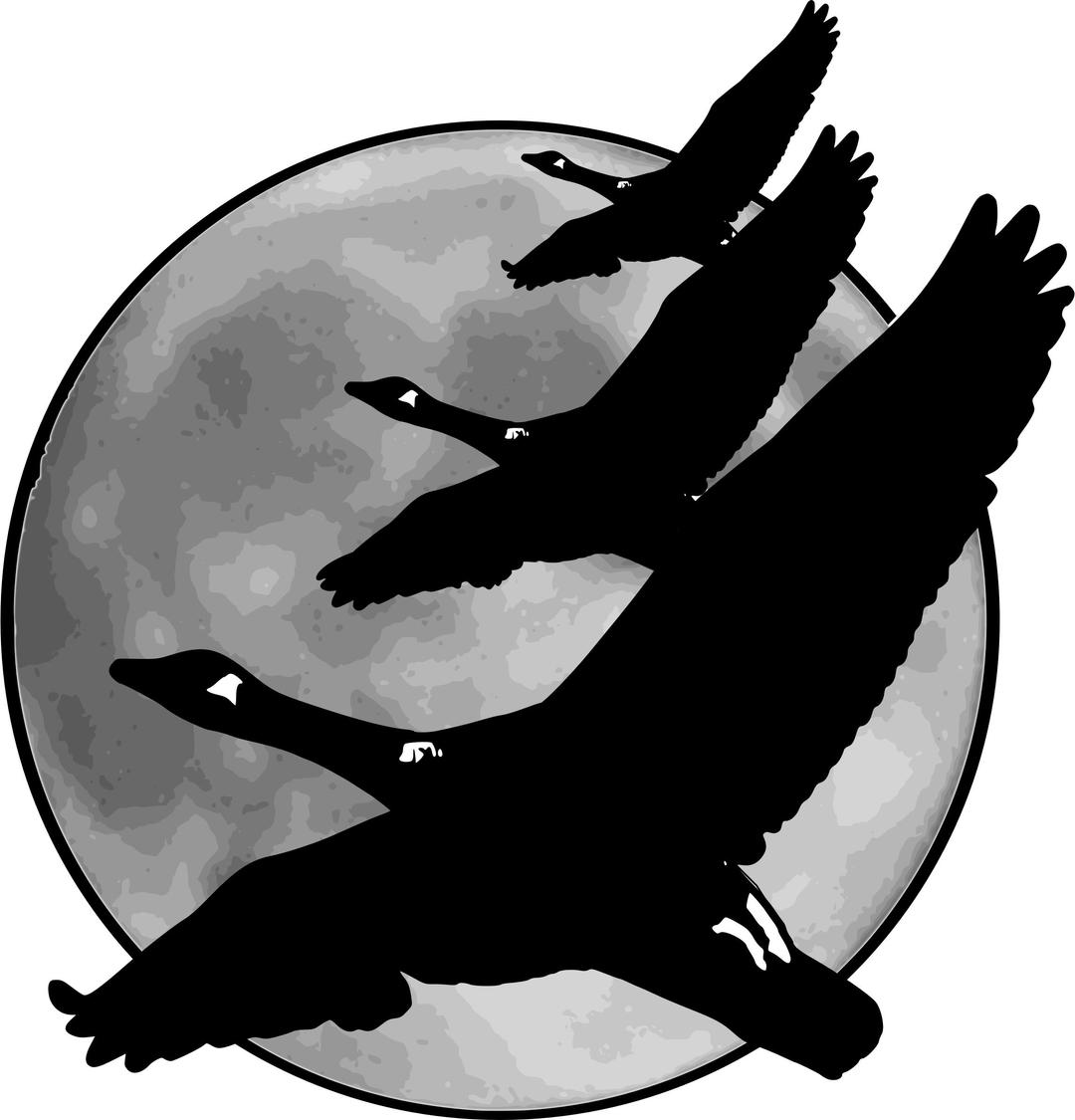 Geese in front of moon png transparent
