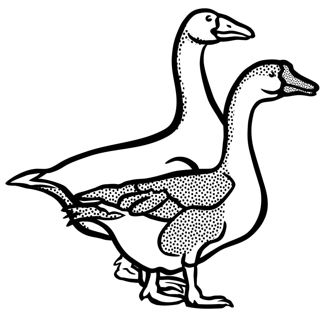 geese - lineart png transparent