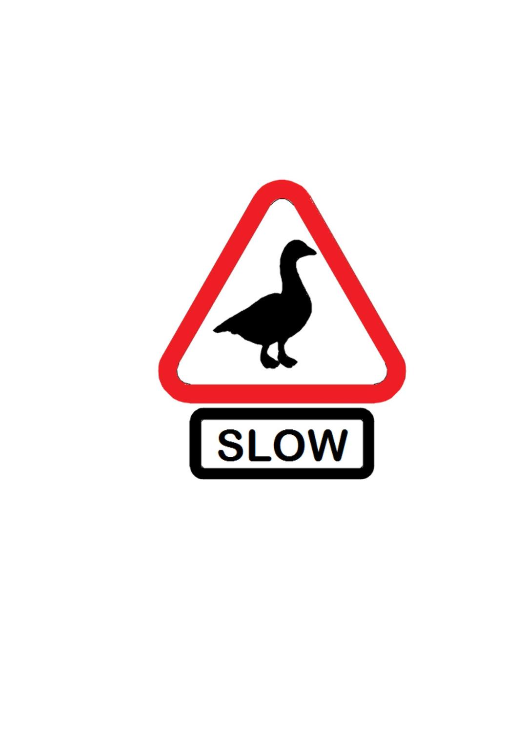 geese - slow png transparent