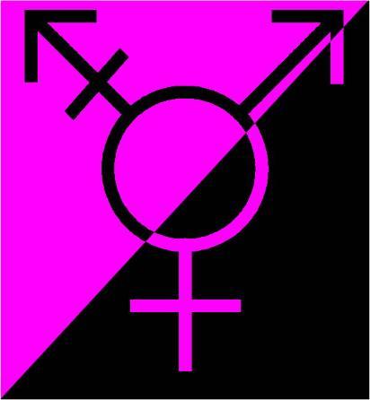 gender queer anarchy flag png transparent