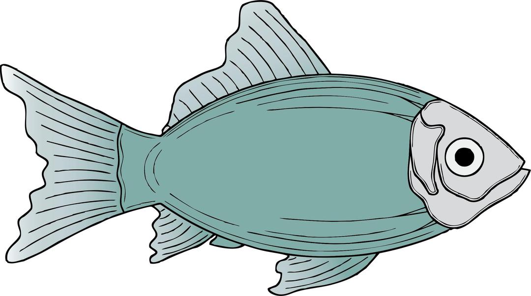 generic fish png transparent