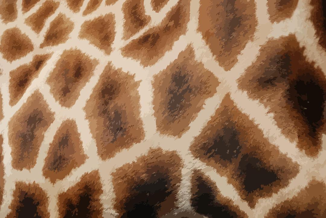 Giraffe fur png transparent