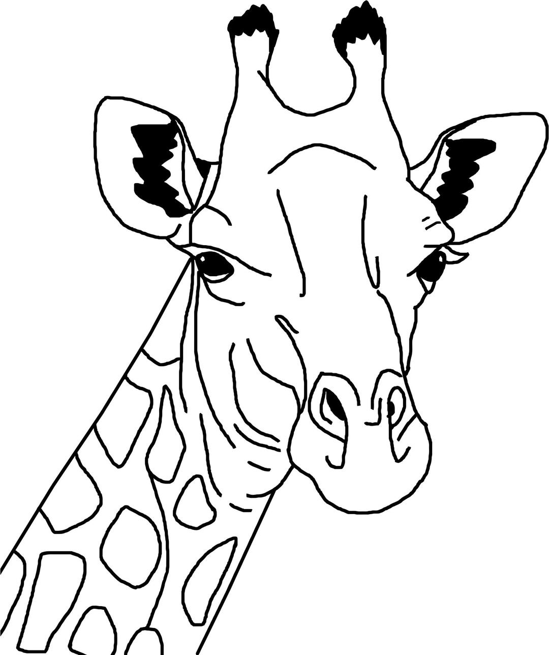 Giraffe line art png transparent
