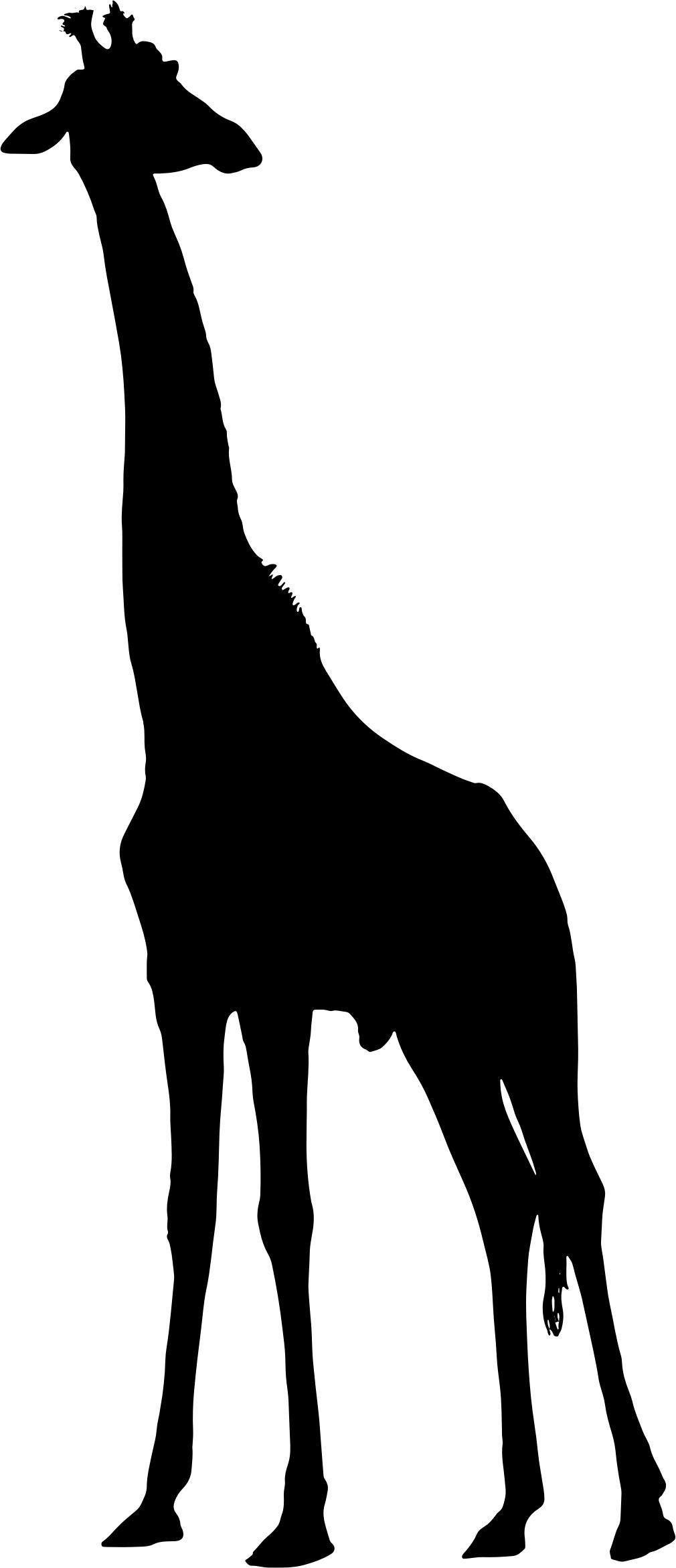Giraffe Silhouette png transparent
