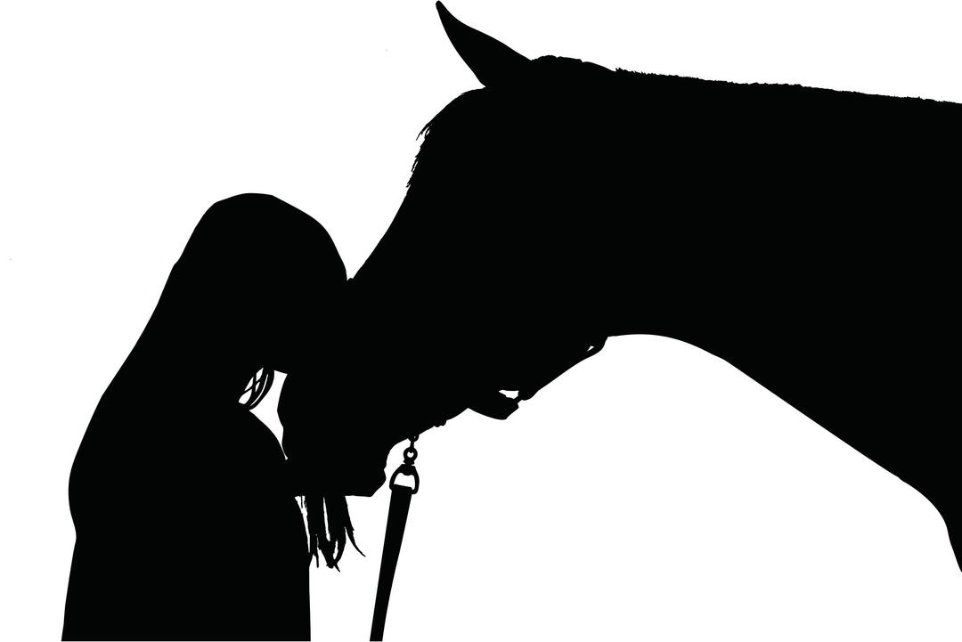 Girl And Horse Silhouette png transparent