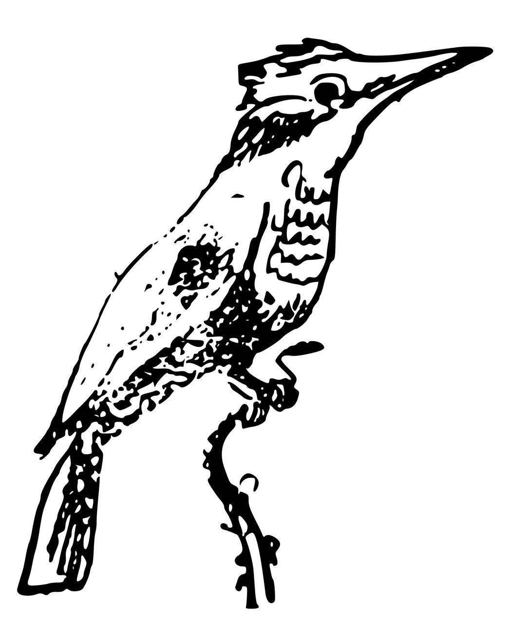 Glas y dorlan | Kingfisher png transparent
