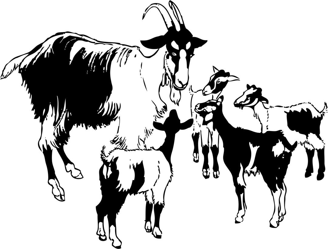 goat and kids png transparent