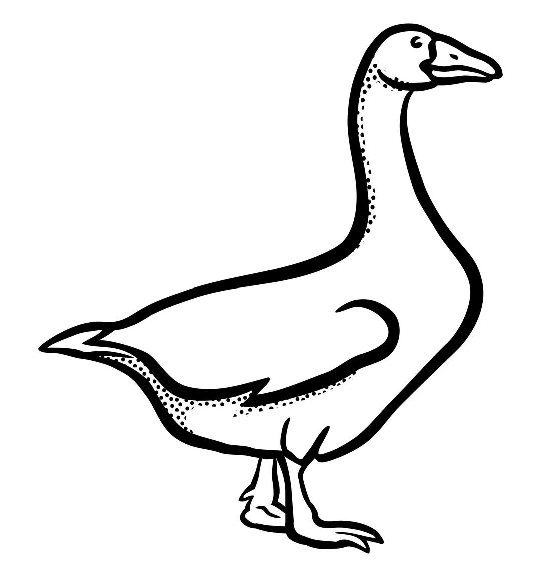 goose - lineart png transparent