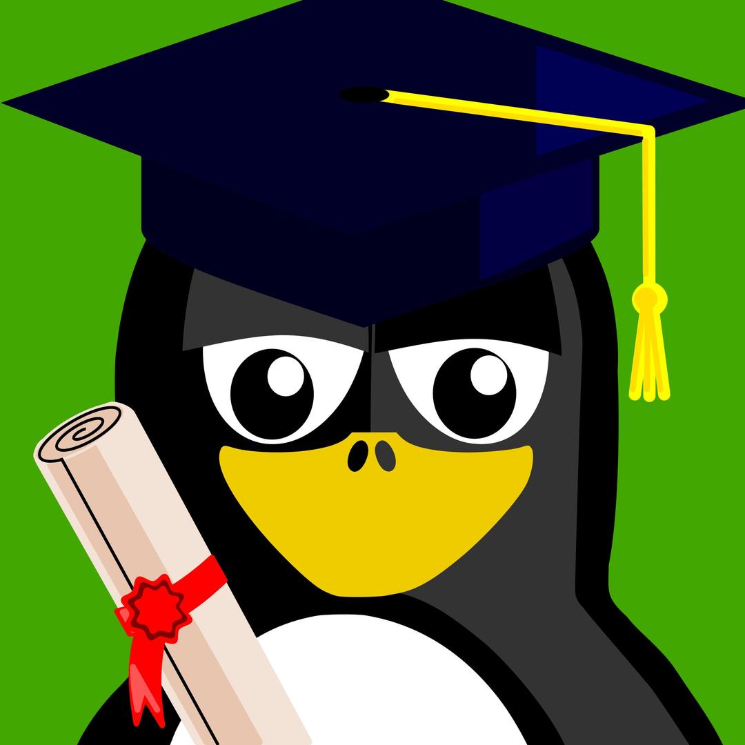 graduation penguin png transparent