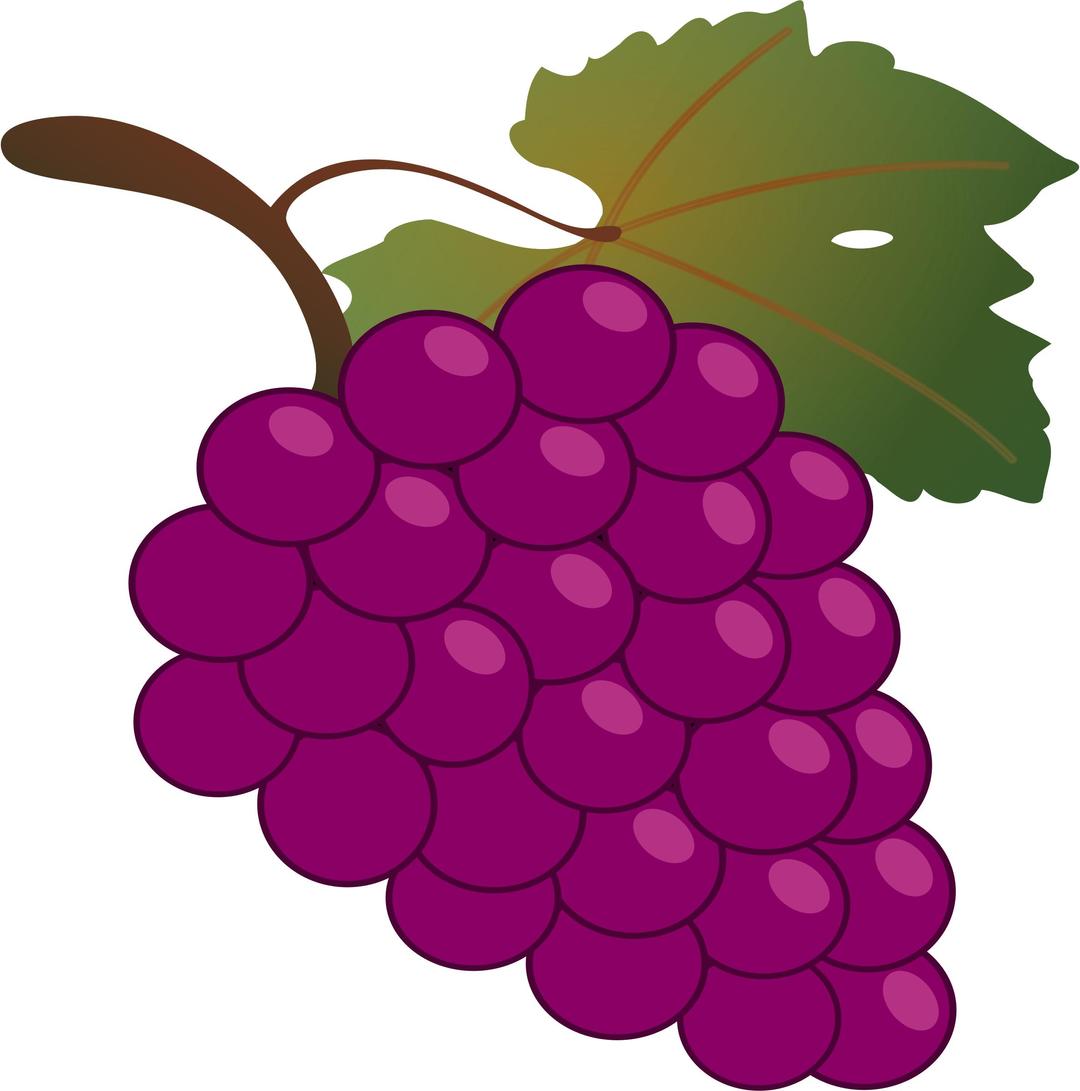 Grape png transparent