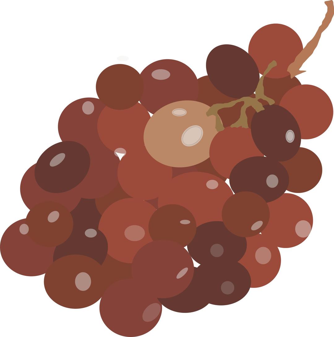 grape red png transparent
