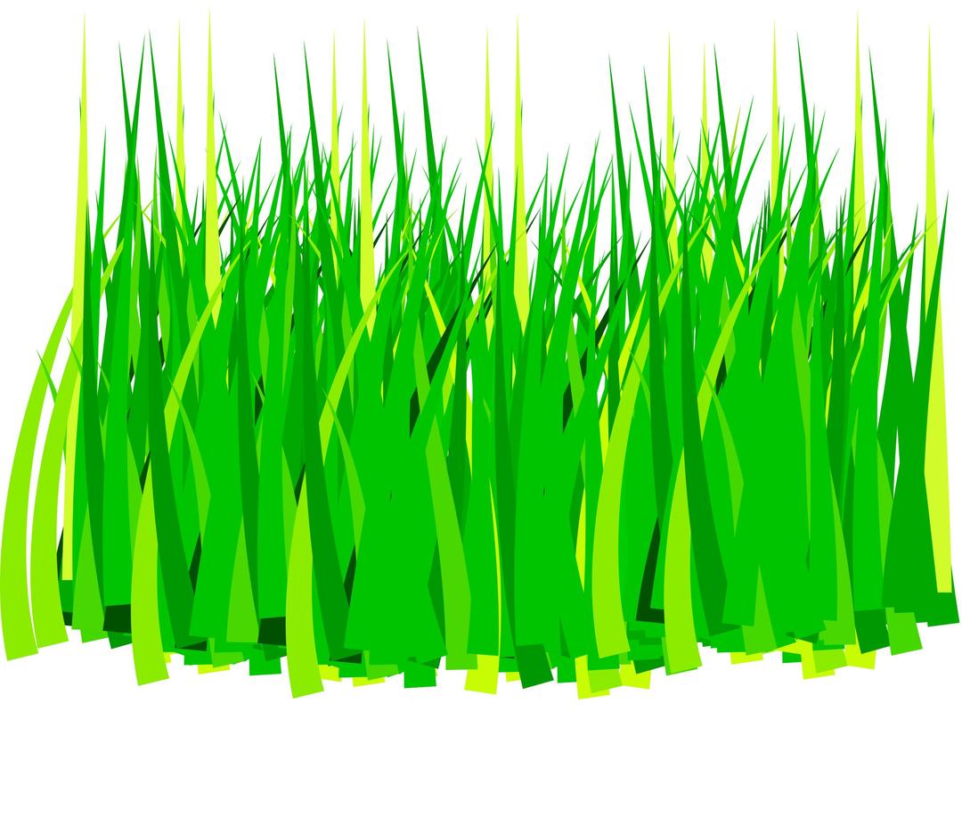 grass png transparent