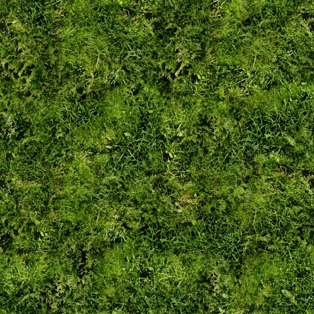 Grass 3 png transparent