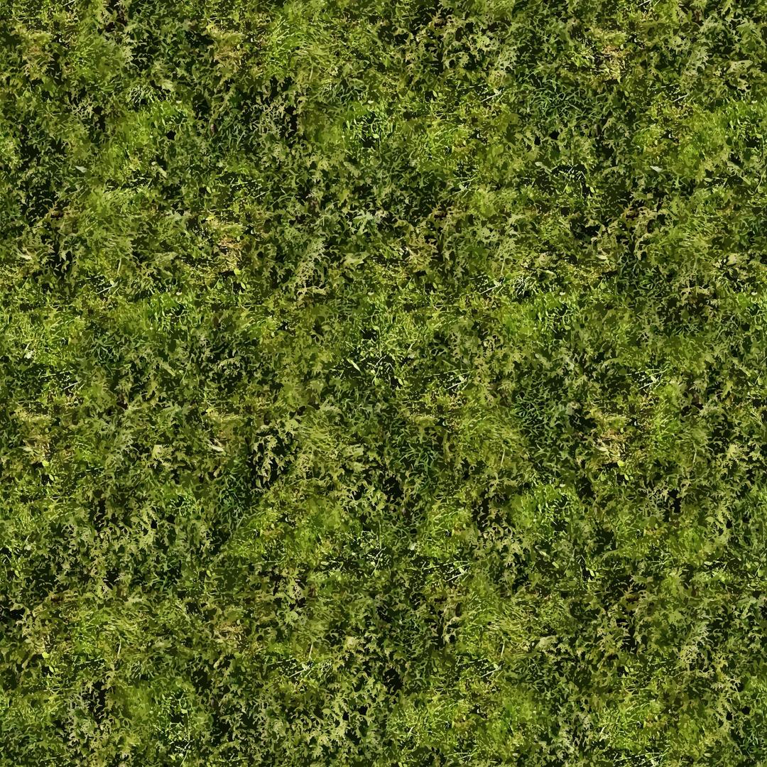 Grass 4 png transparent