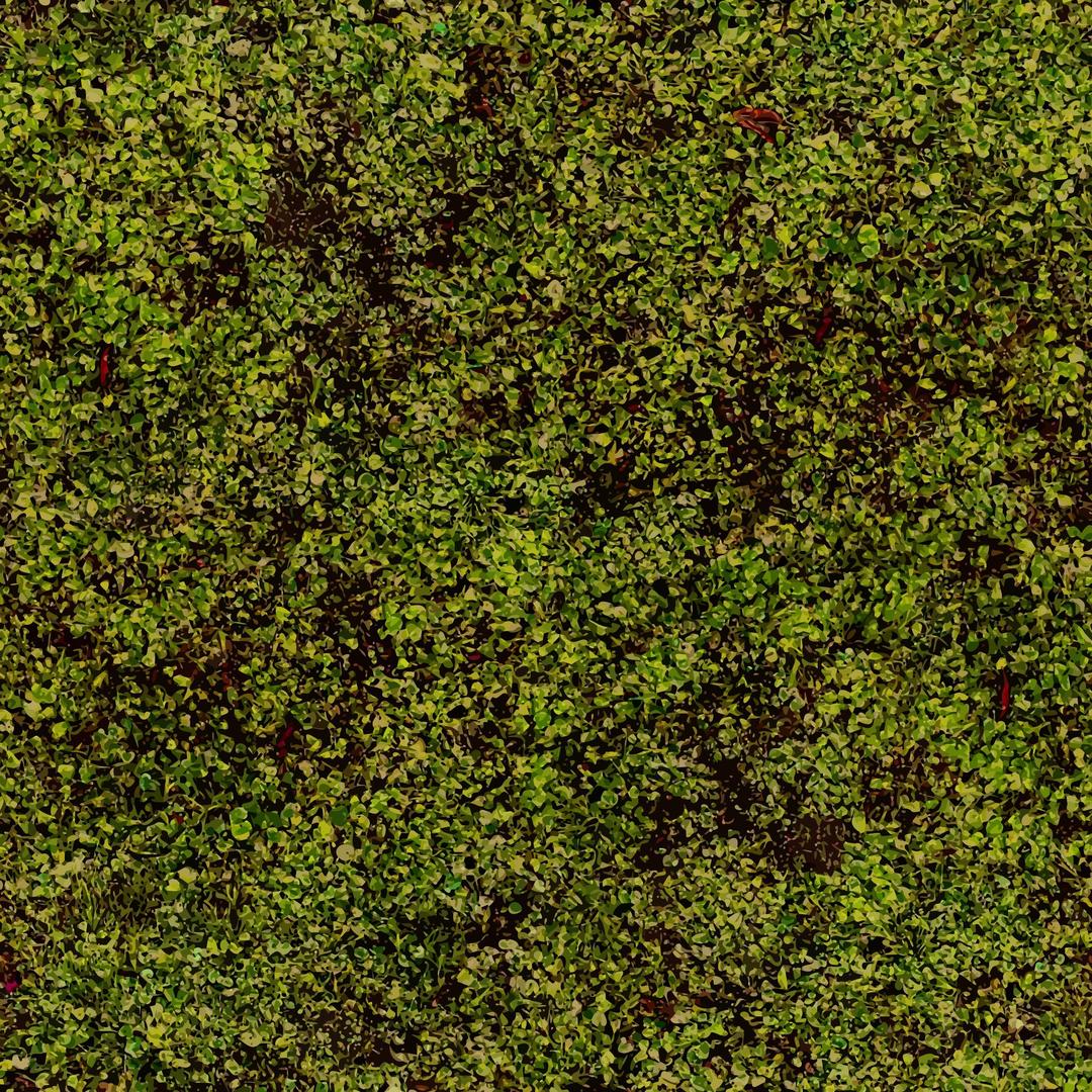 Grass 5 png transparent