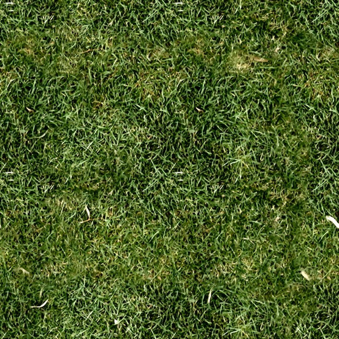 Grass 6 png transparent