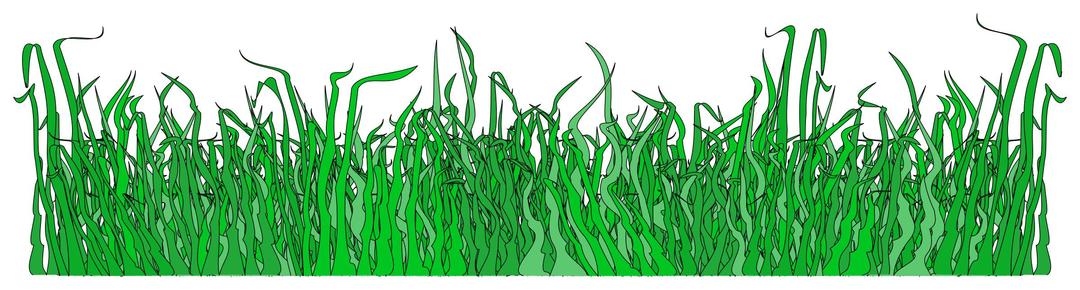 Grass for the lawn png transparent
