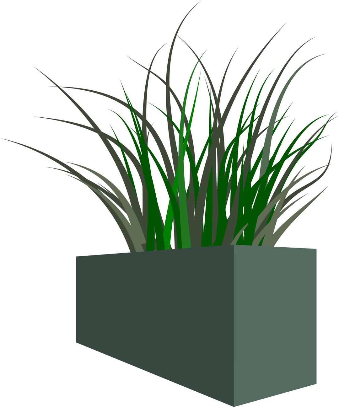 Grass in square planter png transparent
