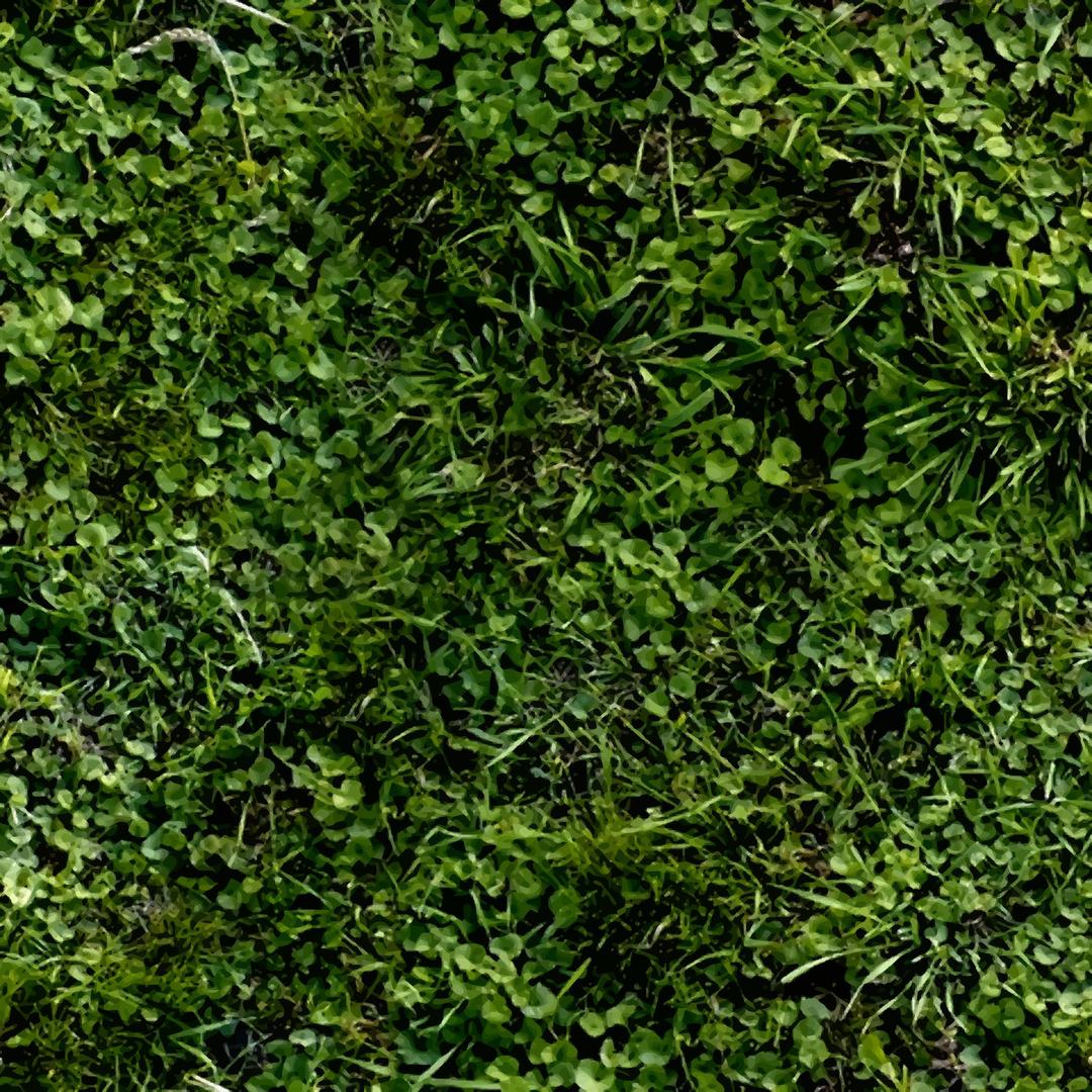 Grass with clover 2 png transparent