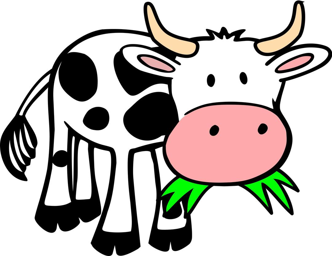 Grass-eating cow png transparent