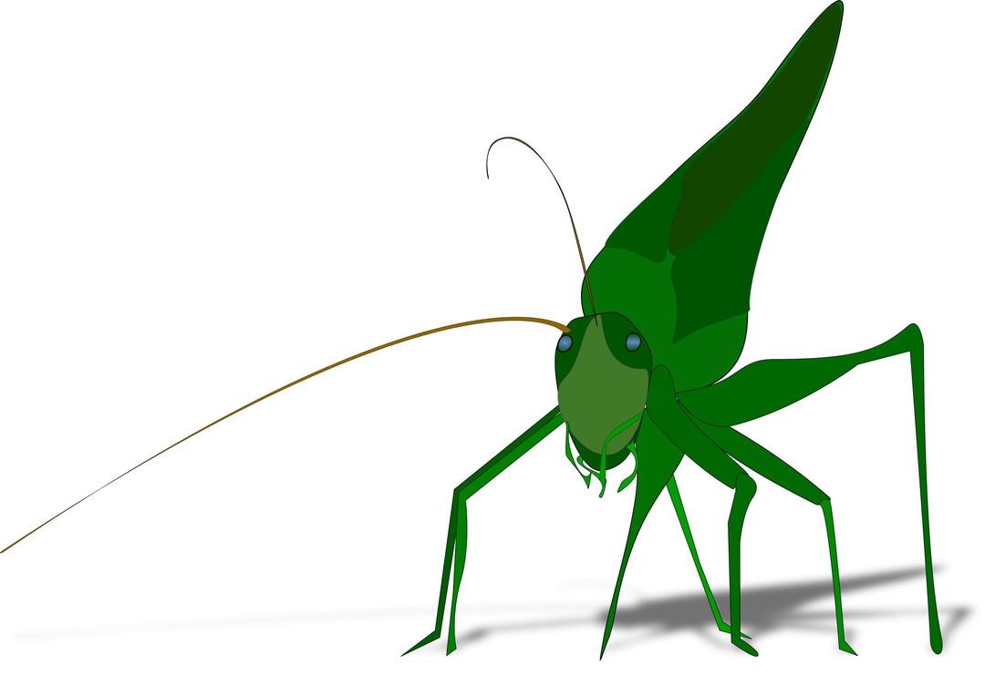 Grasshopper with shadow png transparent