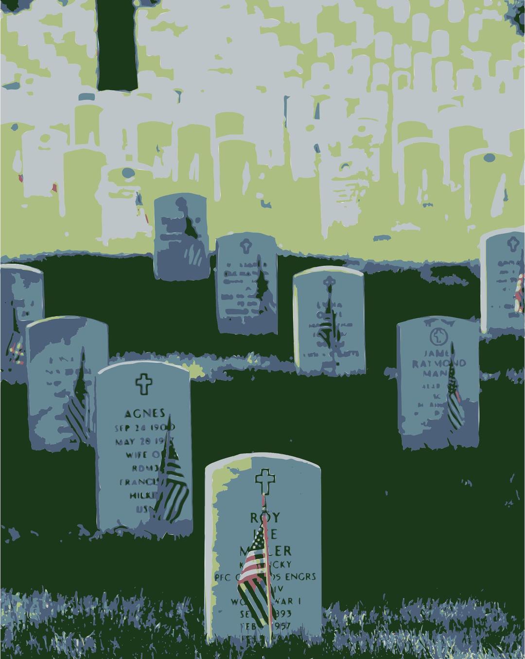 Graves at Arlington on Memorial Day Colorized png transparent