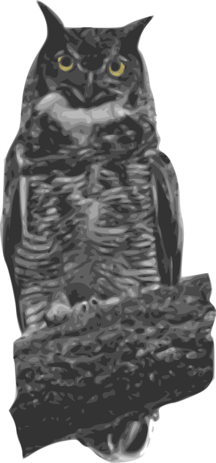 Great Horned Owl png transparent